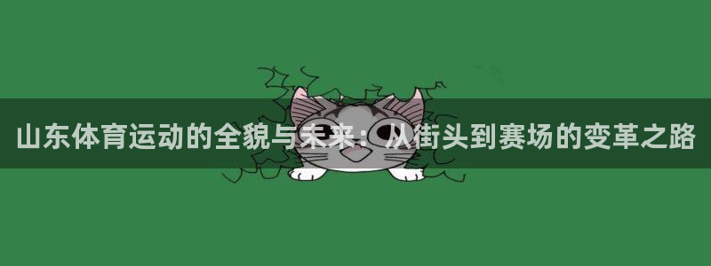 杏耀3代理：山东体育运动的全貌与未来：从街头到赛场的变革之路