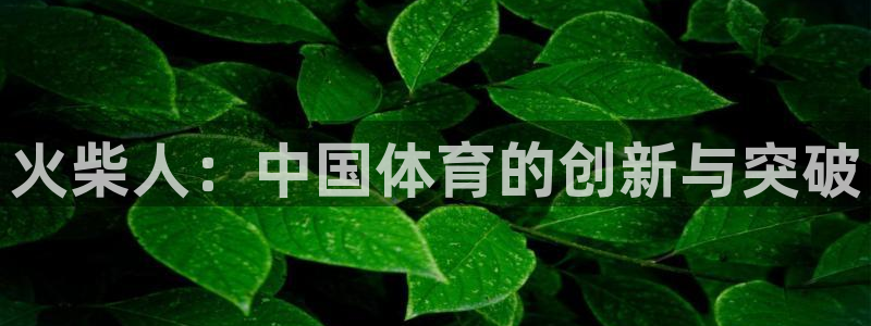杏耀体育官网：火柴人：中国体育的创新与突破