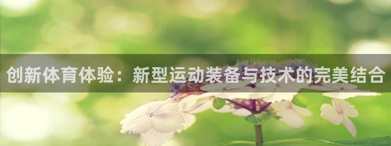 杏耀平台：创新体育体验：新型运动装备与技术的完美结合