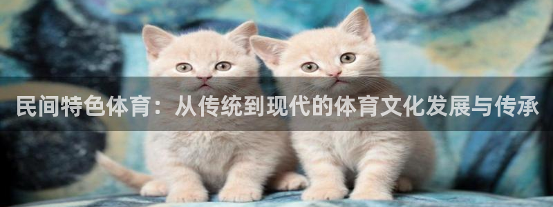 杏耀账号官网登录：民间特色体育：从传统到现代的体育文化发展与传承