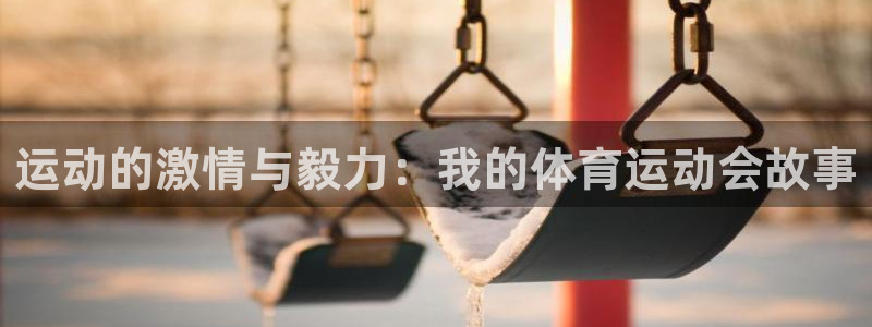 杏耀平台怎么注册：运动的激情与毅力：我的体育运动会故事