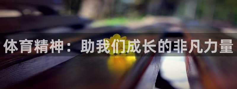 杏耀官网注册：体育精神：助我们成长的非凡力量