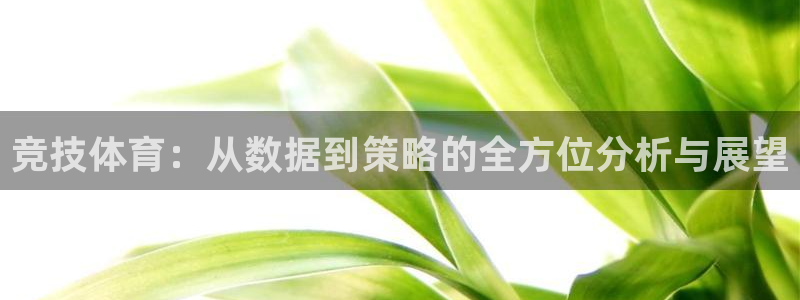 杏耀2体育登录入口：竞技体育：从数据到策略的全方位分析与展望