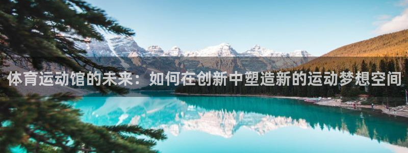 杏耀体育在线注册：体育运动馆的未来：如何在创新中塑造新的运动梦想空间
