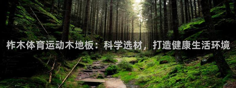 杏耀账号登录：柞木体育运动木地板：科学选材，打造健康生活环境