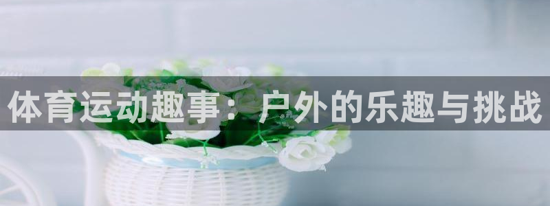 注册杏耀：体育运动趣事：户外的乐趣与挑战