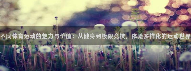 杏耀5注册：不同体育运动的魅力与价值：从健身到极限竞技，体验多样化的运动世界