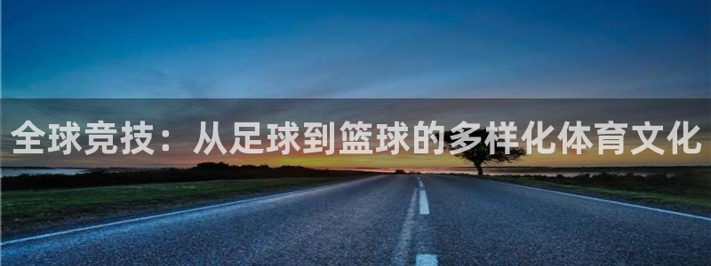 娱乐杏耀：全球竞技：从足球到篮球的多样化体育文化