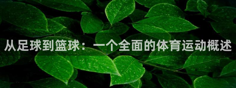 杏耀4登录：从足球到篮球：一个全面的体育运动概述