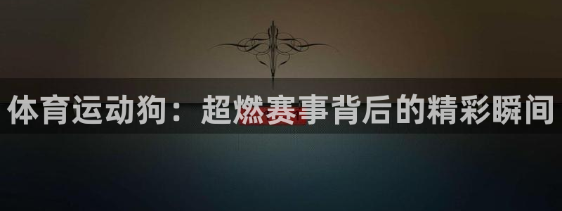 杏耀平台测速最新版本更新内容：体育运动狗：超燃赛事背后的精彩瞬间