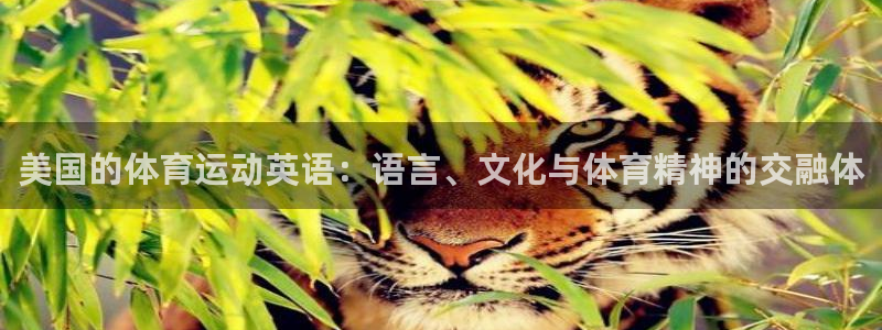 杏耀平台个人登录入口：美国的体育运动英语：语言、文化与体育精神的交融体