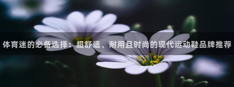 杏耀：体育迷的必备选择：超舒适、耐用且时尚的现代运动鞋品牌推荐