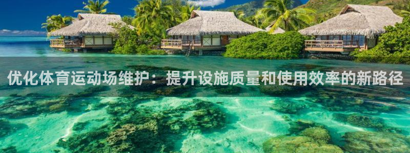杏耀手机登录线路测速：优化体育运动场维护：提升设施质量和使用效率的新路径