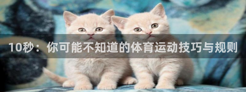 杏耀平台登录网址：10秒：你可能不知道的体育运动技巧与规则