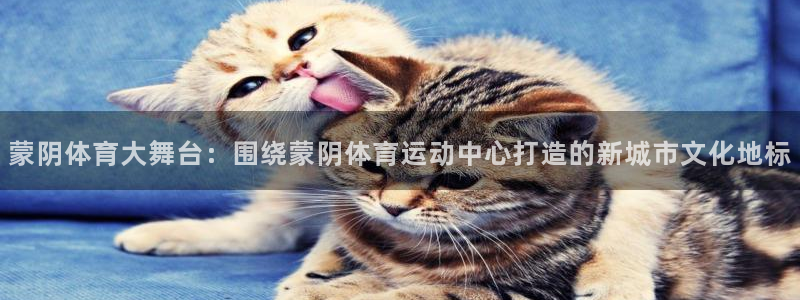 杏耀体育凯捷平台主管：蒙阴体育大舞台：围绕蒙阴体育运动中心打造的新城市文化地标