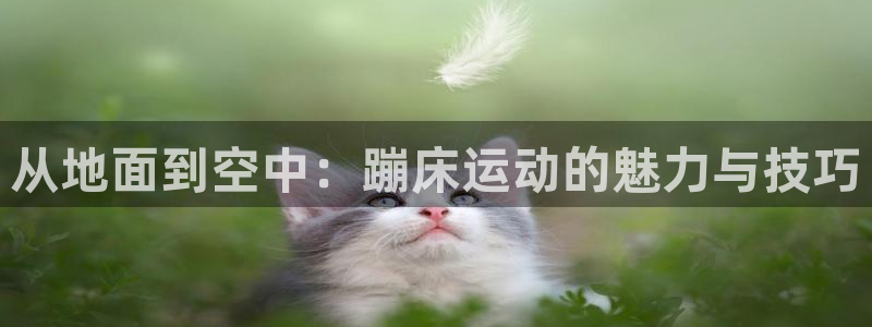 杏耀凯捷注册：从地面到空中：蹦床运动的魅力与技巧